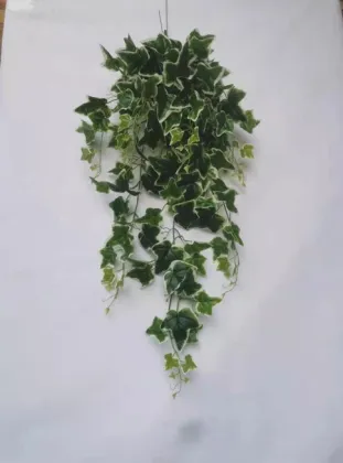 9 Branch Real Touch Artificial Wall Hanging Ivy Plants for Decor