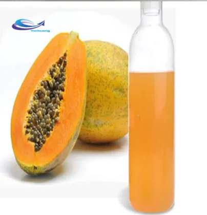 high quality food grade green Papaya concentrated powder