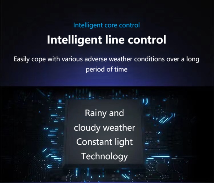 Solar Garden Light(15)