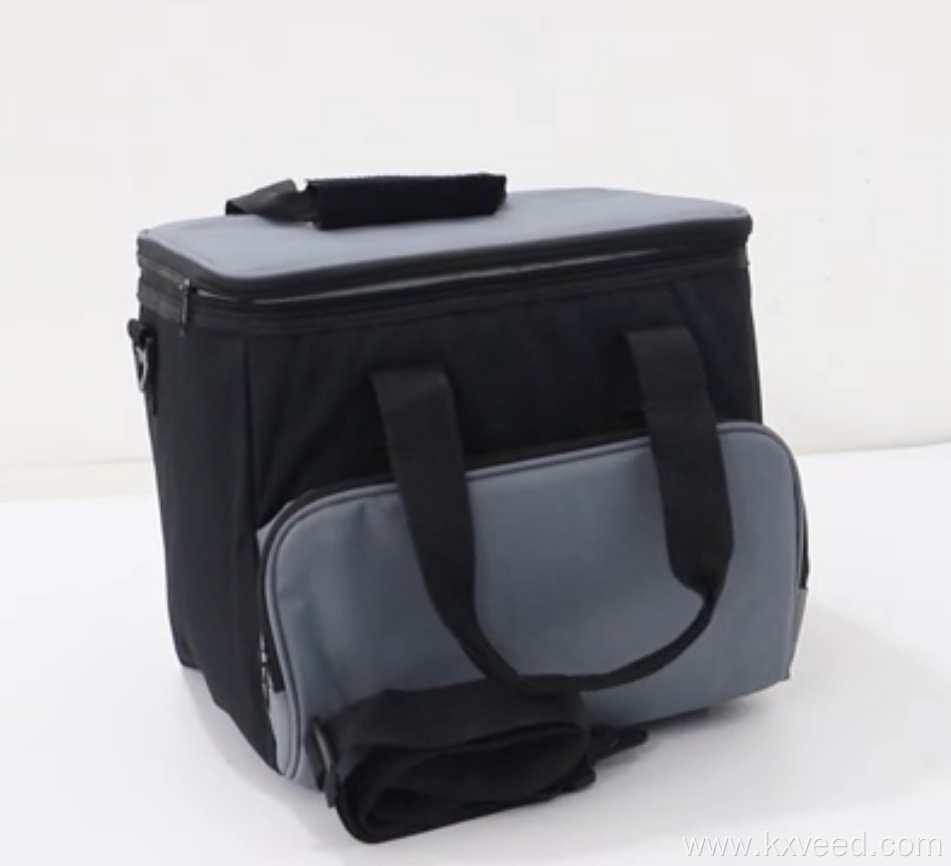 18L travel car cooler bag 12v for camping