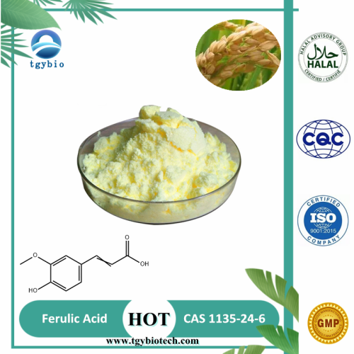 Kojic Acid High Quality Rice Bran Extract Ferulic Acid Powder Supplier