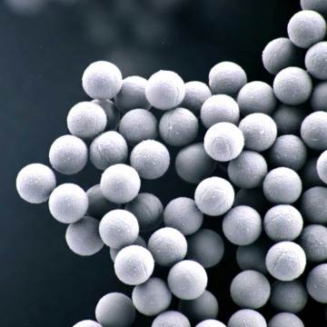 Microsphères biodégradables PHA pour le remplissage esthétique