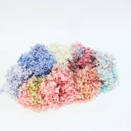 2023 Yunnan Wholesale Preserved Flowers - Big-Box Anna Hydrangea with Luxury Box