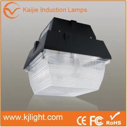 Ceiling Light