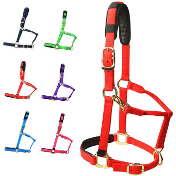 Horse Halter Adjustable With Cushioned Padding
