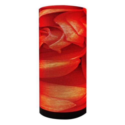 Interactive P5 Curved Led Video Wall Screen Display