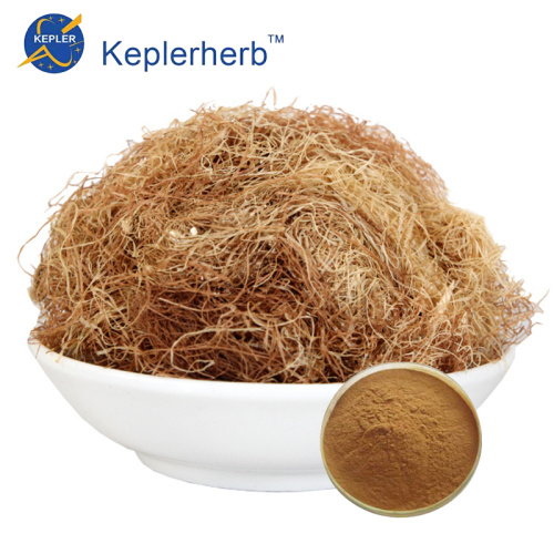 Corn Silk Extract Powder