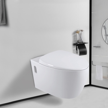 Tankless Wall-Hung Toilet Systems