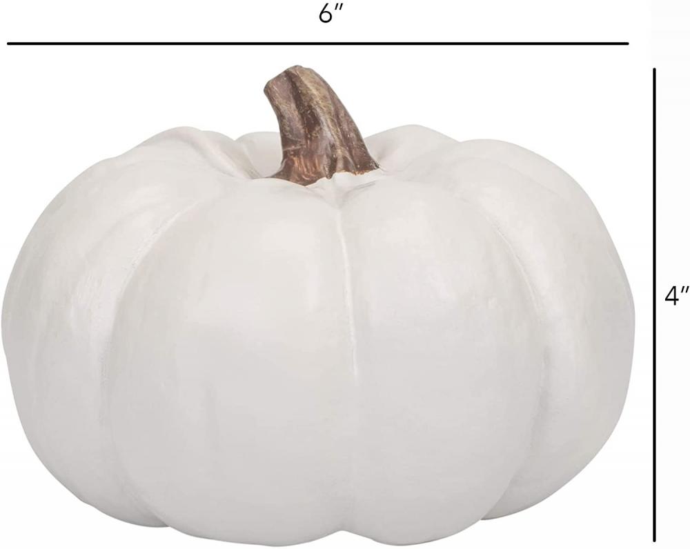 Cosecha de calabazas decorativas de 4 de 4