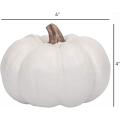 Cosecha de calabazas decorativas de 4 de 4