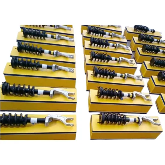 Hot Sale Model S Rear Shock Absorber Assembly 1015620-00-E 1066466-00-D 1066461-00-C