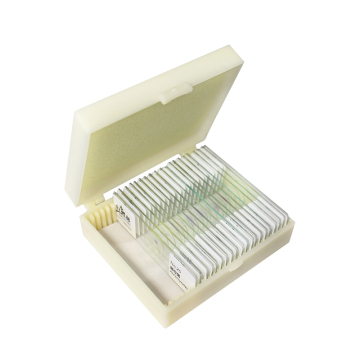 Bacteria Germs 20 Kinds Microscope Slides Teaching Resource