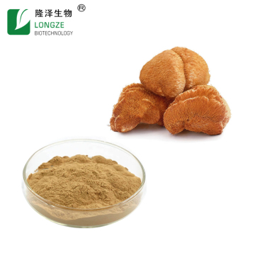 Hericium Erinaceus Mushroom Extract Capsules Lions Mane