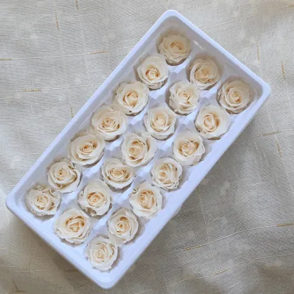 Eternal Rose: Preserved Flower Gifts That Last Forever