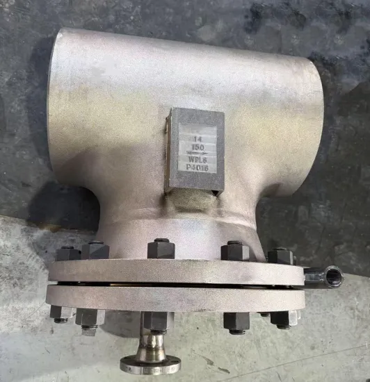 16inch 150LB Carbon Steel Fabricated Tee Type Strainer