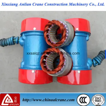 The Export Standard Electric AC Vibrating Motor