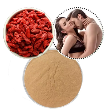 High Quality Wolfberry Powder Natural Plant Ingredient