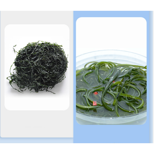 Premium Dry Shredded Kelp Seaweed Good For You