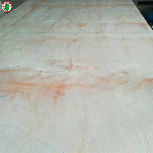 18 mm pine veneer laminated plywood