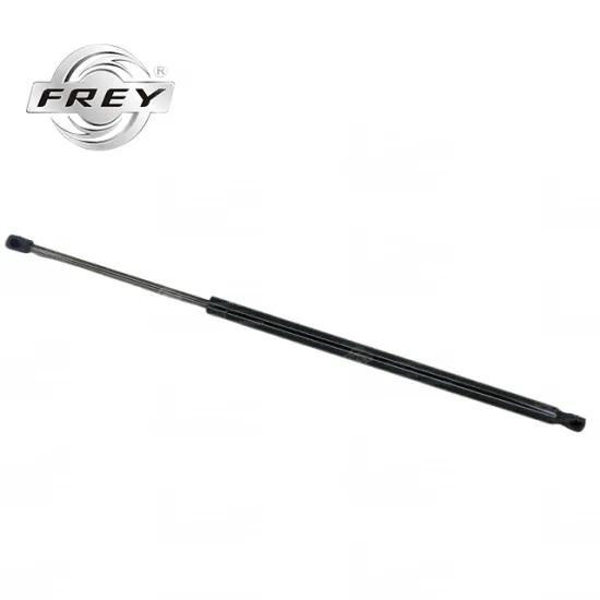 4479800164 Car Tailgate Gas Spring for V-Class W447