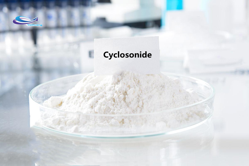 Sale CAS 126544-47-6 Ciclesonide Powder