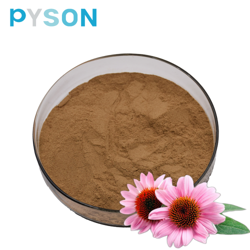 Best Price for echinacea extract chicory acid 4%