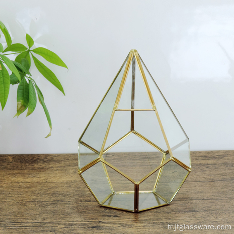 Terrarium géométrique en verre ouvert en forme de boule du pentagone