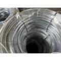 BWG16 Electro Galvanized Wire для продажи