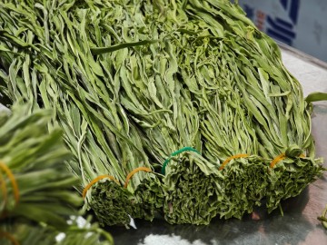 Yunnan getrocknete Tribute Greens