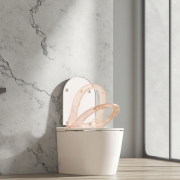 Light Smart Modern Integrated Bidet Toilet