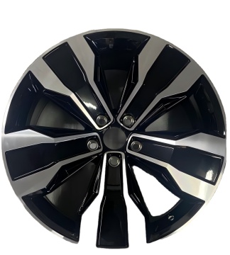 19 Inch Forged Alloy Rim Fit for Volkswagen Tiguan L - DS00619C73-1970