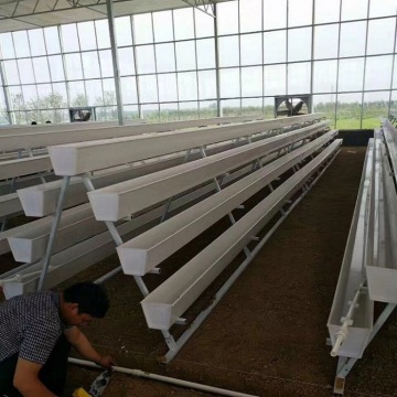 Sistem Growing Hydroponic Saiz Besar NTF Gully