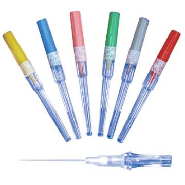 Cannula  Needles