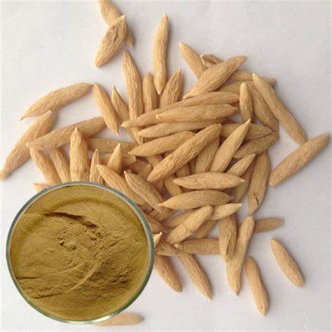 Natural Ophiopogon japonicus extract