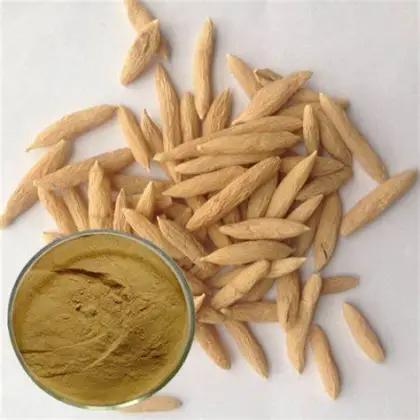 Natural Ophiopogon japonicus extract