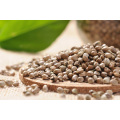 Hot Selling Good Quality Shelled Hemp Seeds