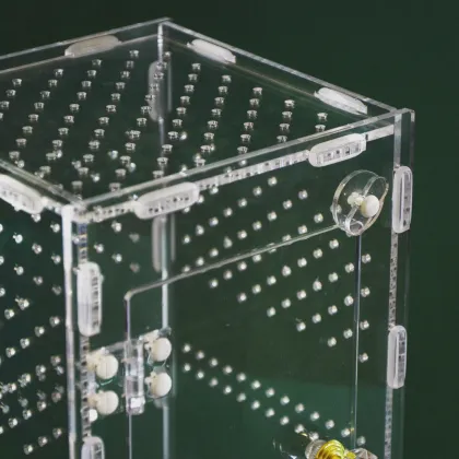 Spliced Acryllic Breeding Box