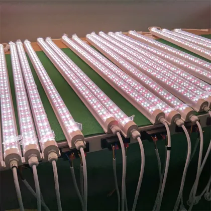 DC48V 5 Ft T6 LED Lighting for Poultry Farms