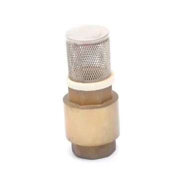 PN20 brass spring check valve 1/2" female brass check valve with SS filter