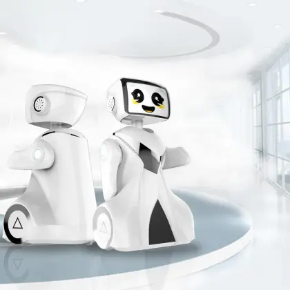 AI Service Care Robot Product Design & Development
