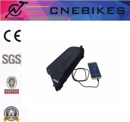 Long Life panasonic down tube battery with usb port