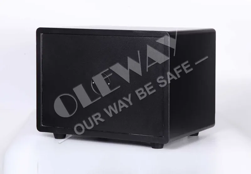 One-Hour Fireproof Fingerprint Safe for Home and Business
