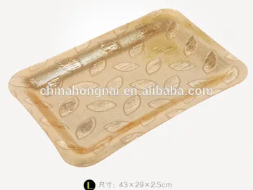 Colourful Rectangle Acrylic Fruit Plate