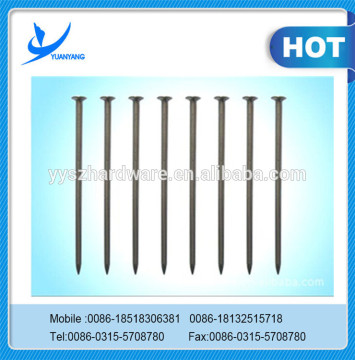 Factory Manufacturer Wire Common Nail