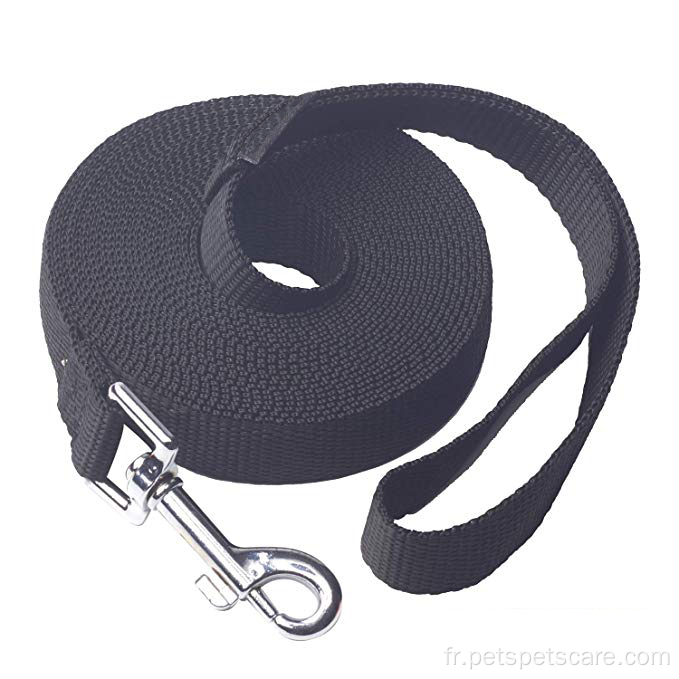 Laisse de dressage de chien de couleur unie classique pour animaux de compagnie assortie