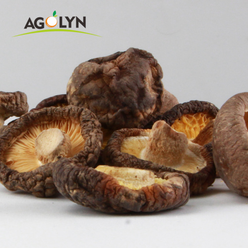 OEM Factory price Dried Shiitake Mushrooms High Quality Dried Mushrooms
