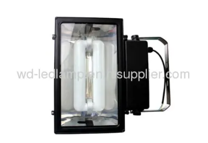 200w Lvd Induction Flood Light 
