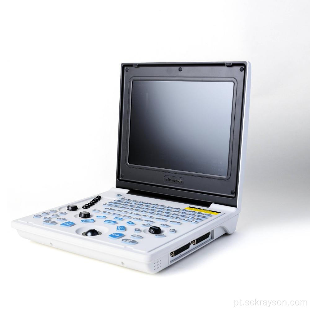 Ultrassom laptop da floresta da Sibéria grávida