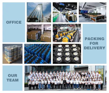 Sigma Elevator PCB Board INV-BDC-1Lg-Sigma 1R01301