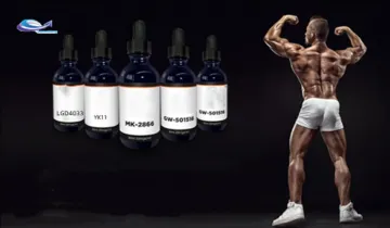 mk-677 RAD-140 LGD-4033 Yk11 Mk -677 sarms liquid